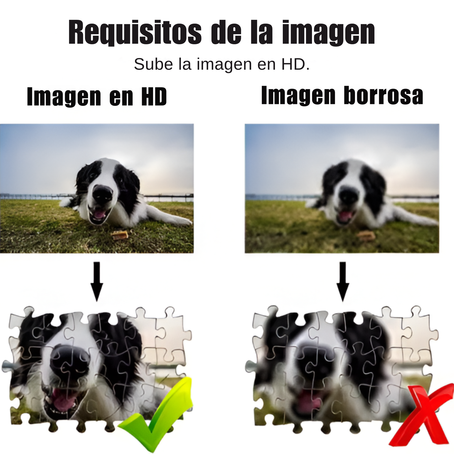 Puzzle Personalizado Unico